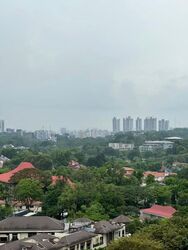 Regency Park (D10), Condominium #544537501